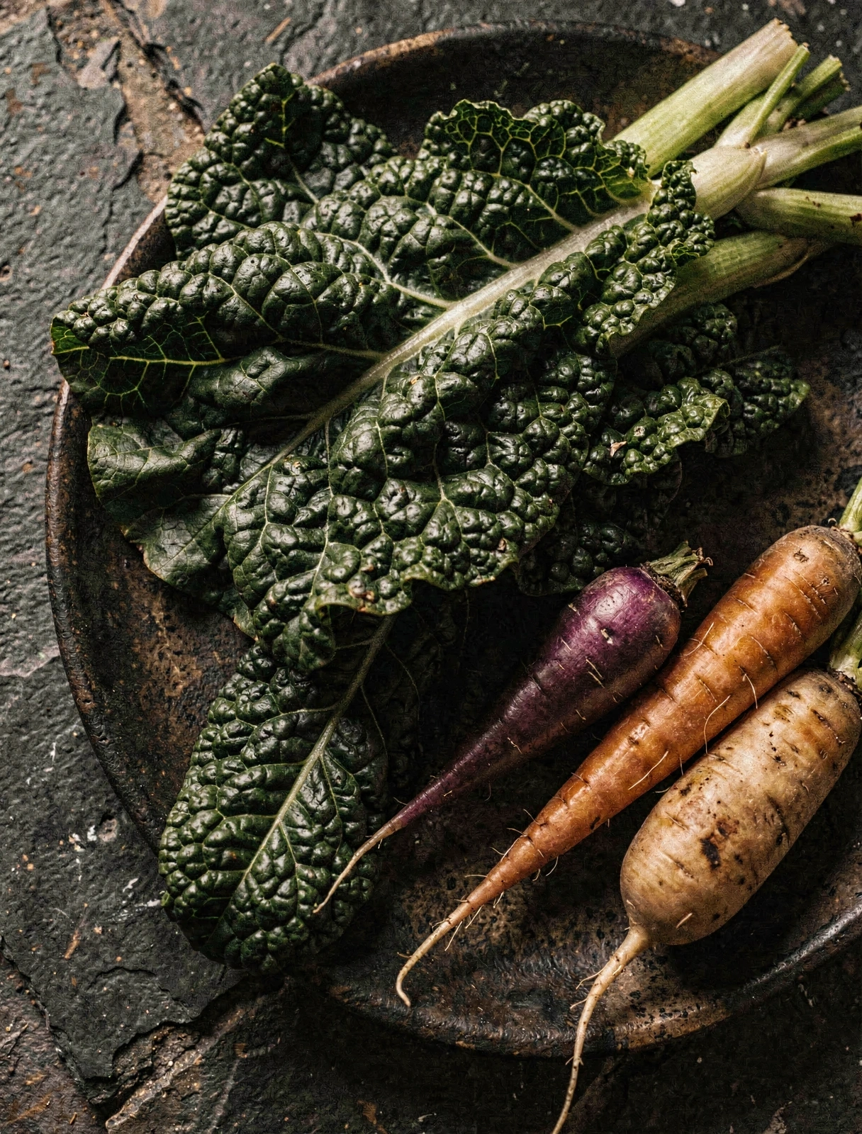 Fontes de Fibra Natural